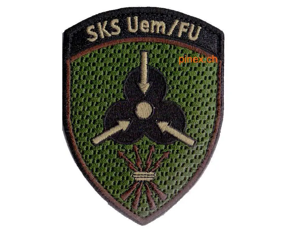 Patches Führungsunterstützung Schweizer Armee