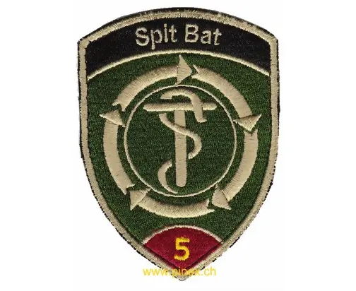 Sanitätstruppen Schweizer Armee Badges